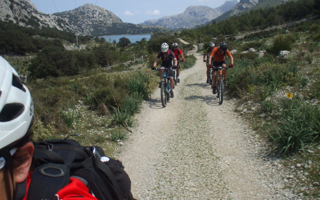 Guided tours in Mallorca